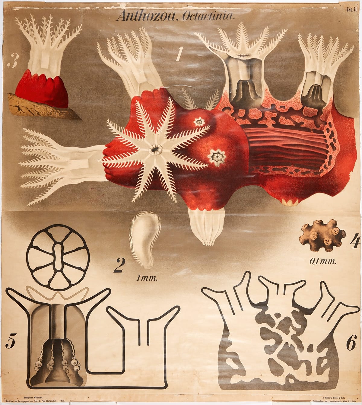 How to structure platform teams when you're supporting thousands of engineers