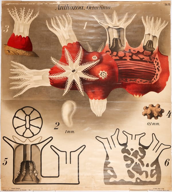 How to structure platform teams when you're supporting thousands of engineers